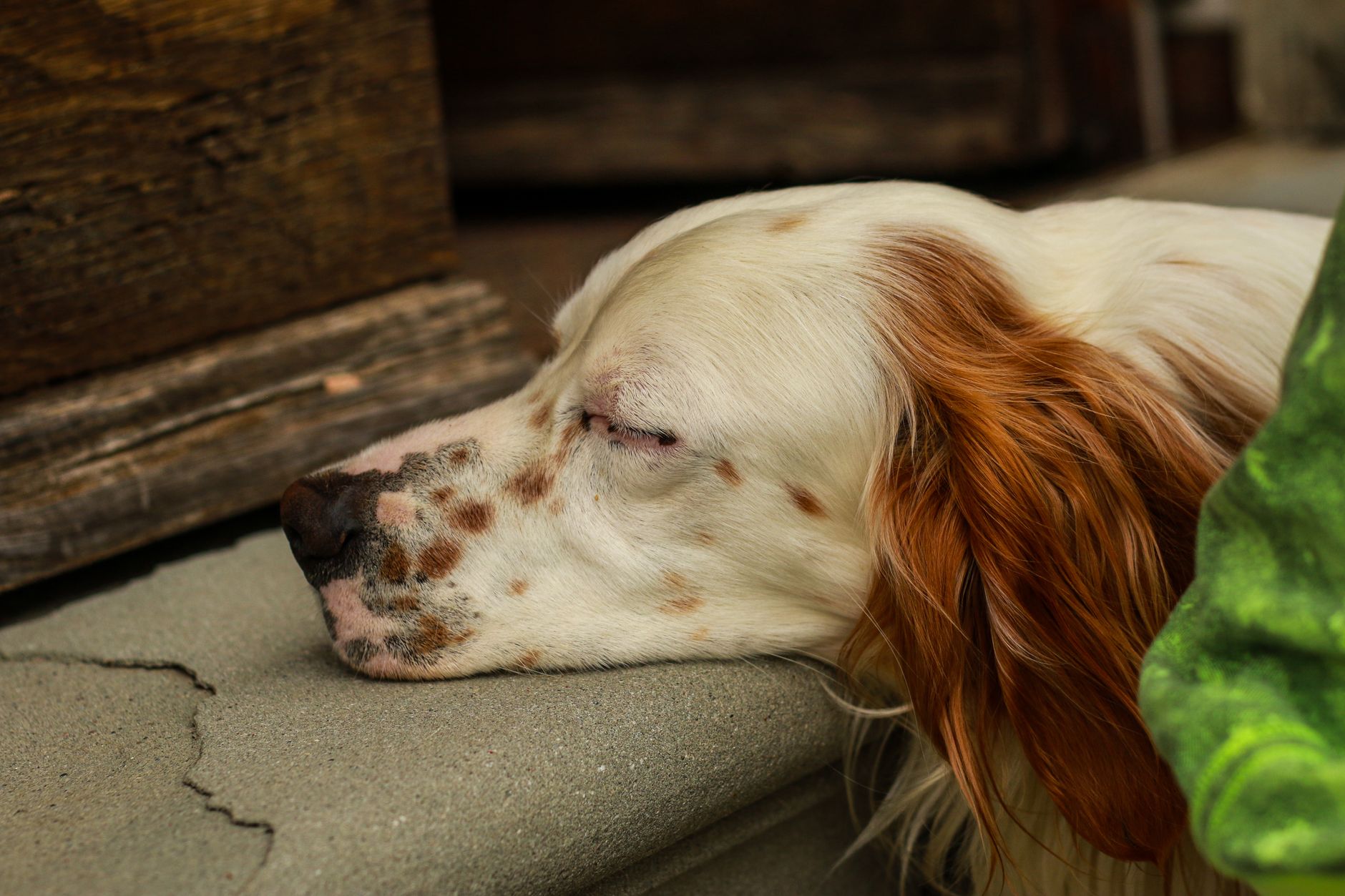 #11 — They Rest Their Head on a Specific Body Part