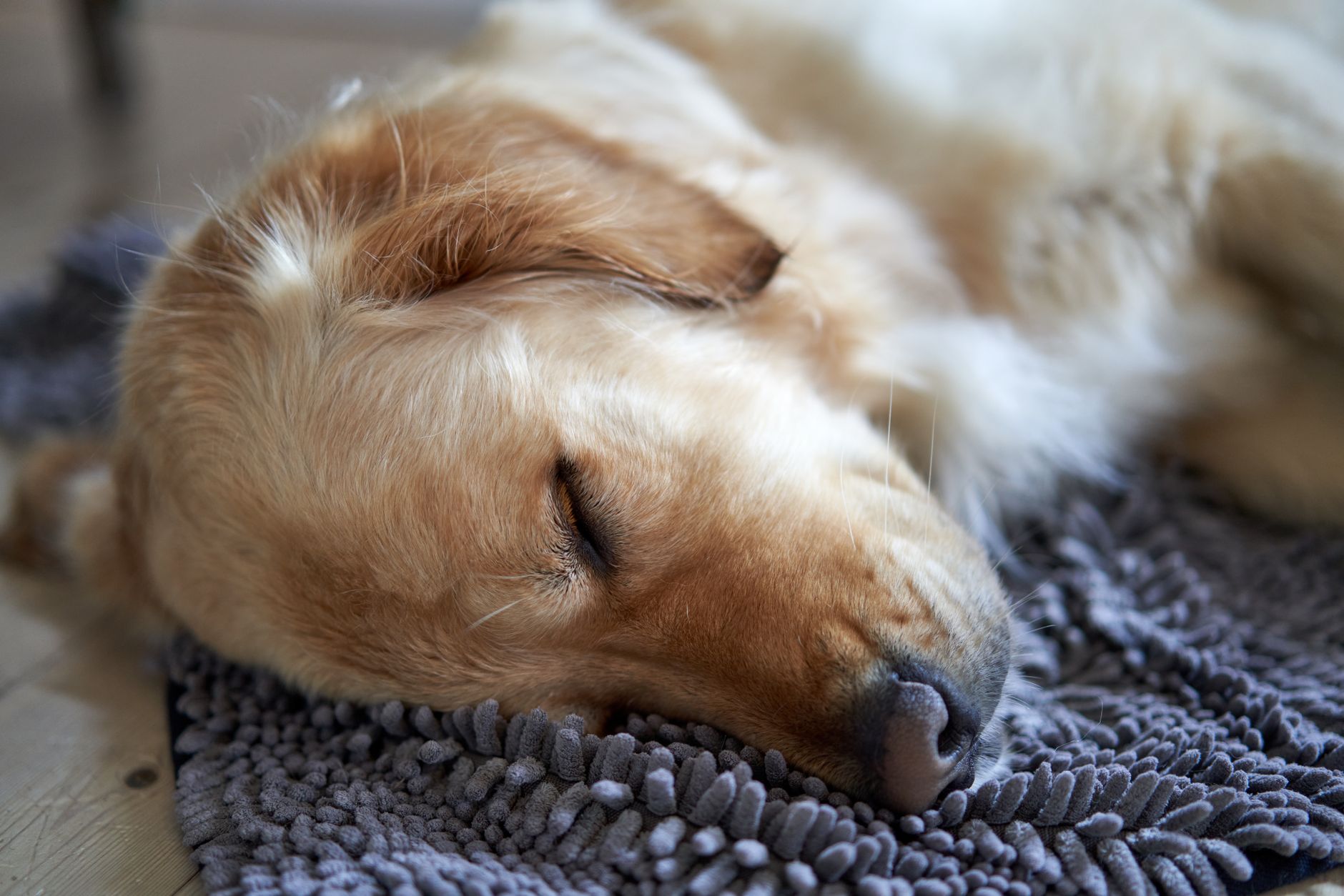 #10 — Their Sleep Schedule Shifts to Match Yours