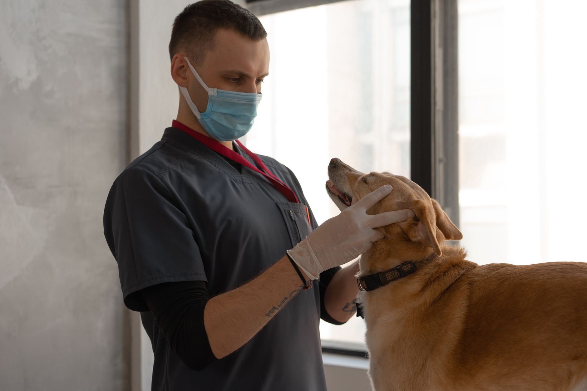 12 Things Your Dog Does When They Know Something’s Wrong With You