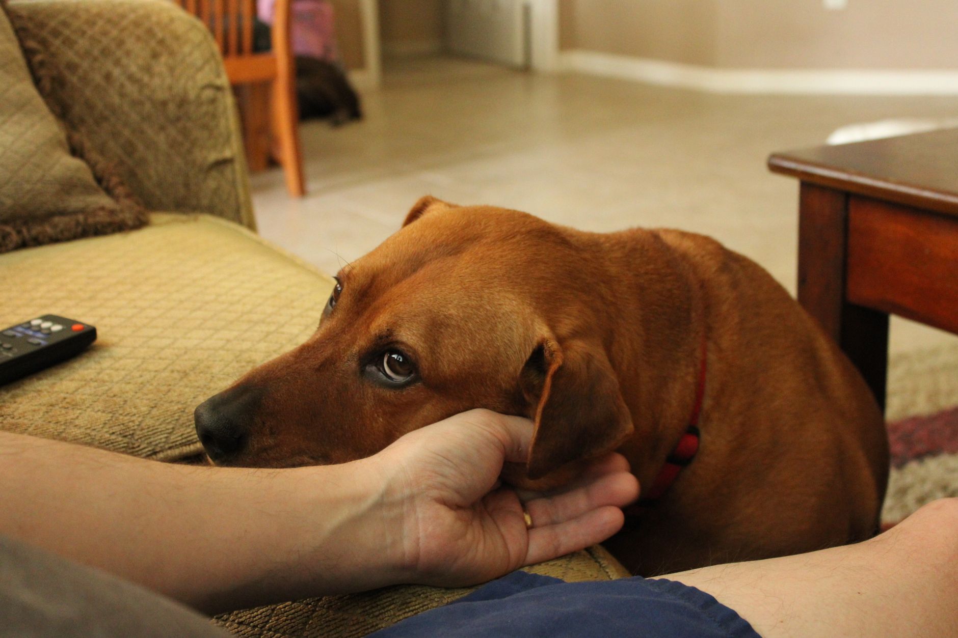 #2 — They Seek Physical Contact During Your Sleep