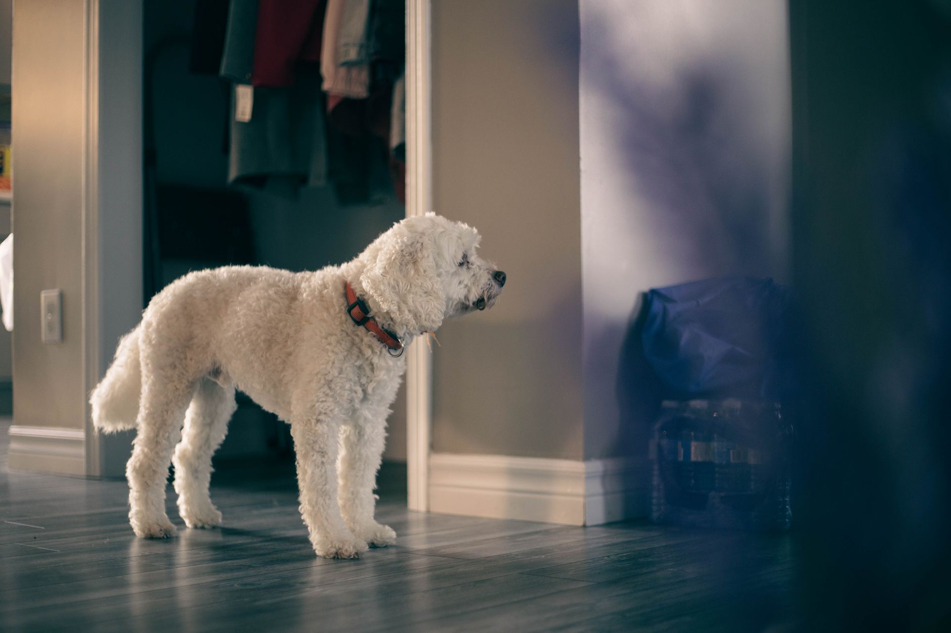 #5 — Whether the Household Has a Routine Yet