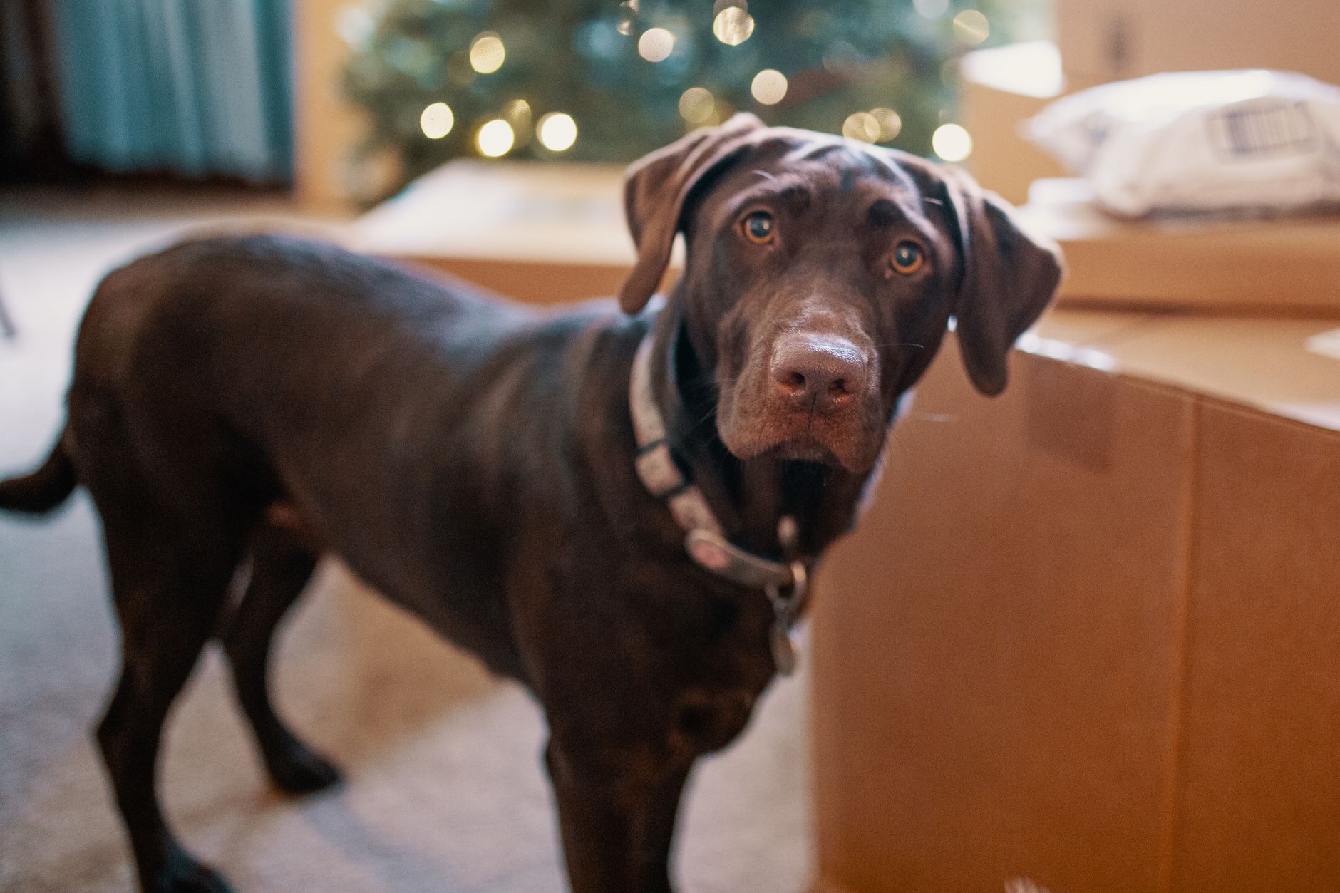 #2 — How You're Feeling About the Move