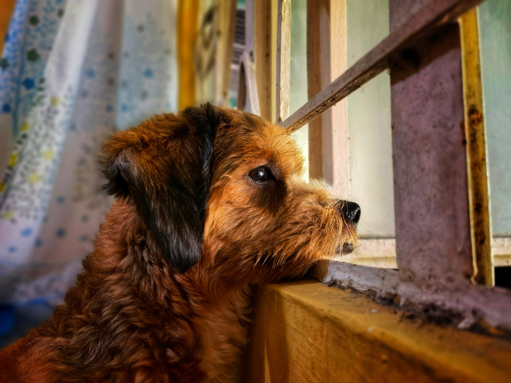 #6 — What's Happening Outside the Windows