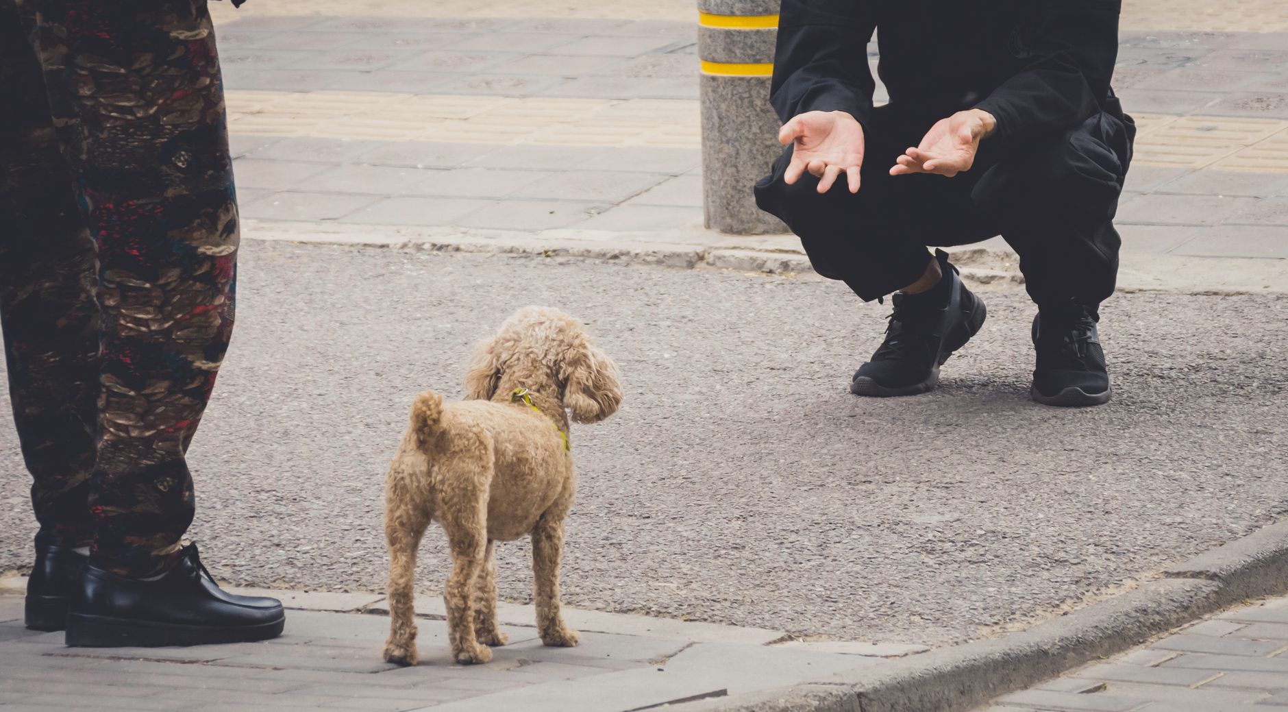 #12 — Ignoring You When You Call Their Name