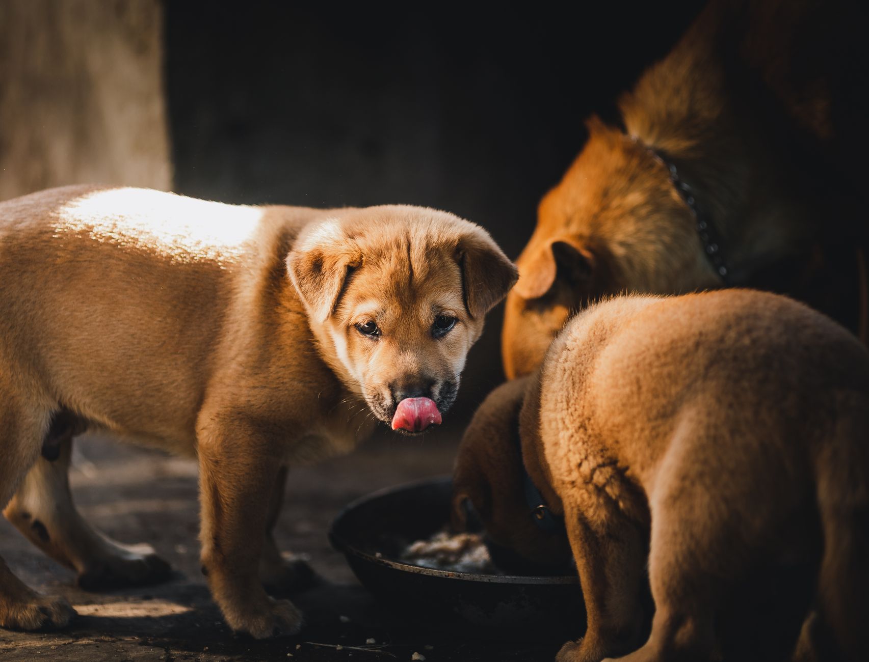 #1 — Refusing to Eat Until You're Home