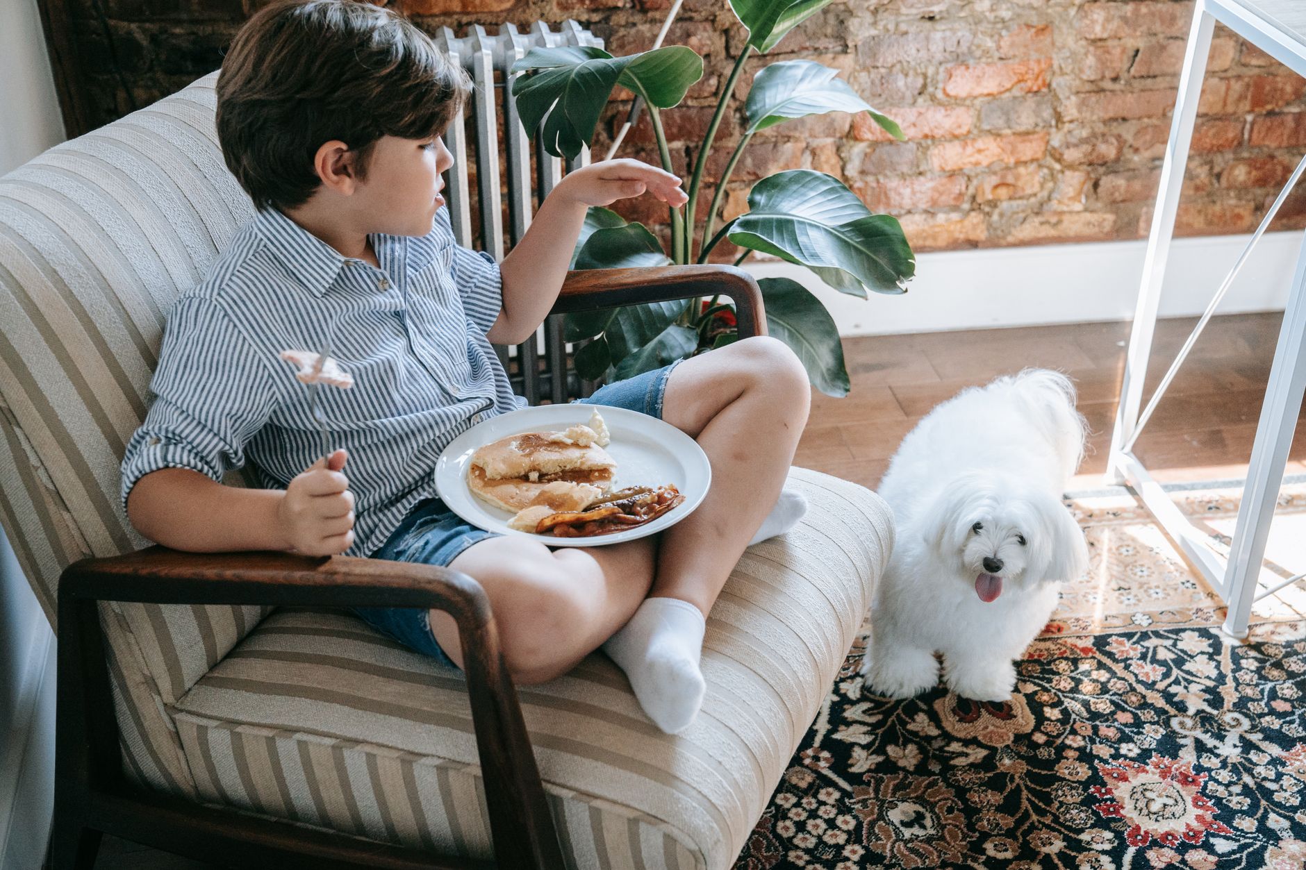 #7 — Stealing Food Off the Counter
