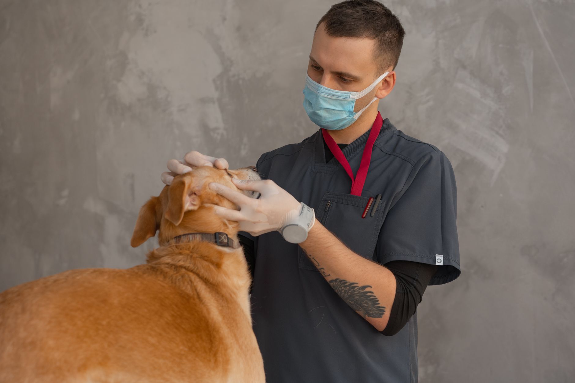 #6 — Your Dog's Bad Breath Isn't Normal