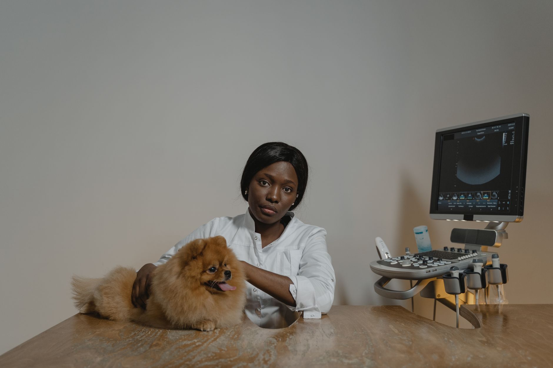 #7 — Breeds Aren't Banned From Donating Blood