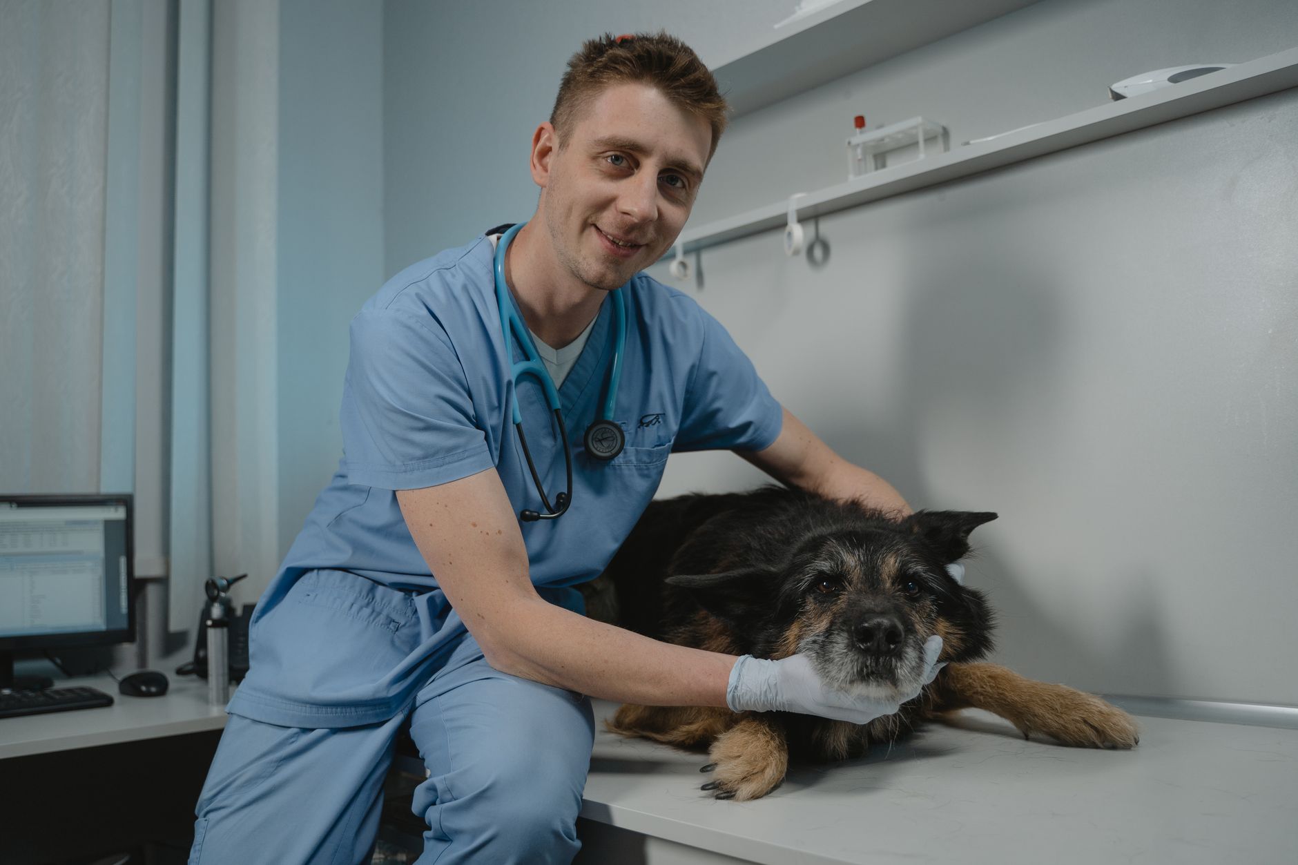 #5 — Adult Dogs Still Need Vet Visits