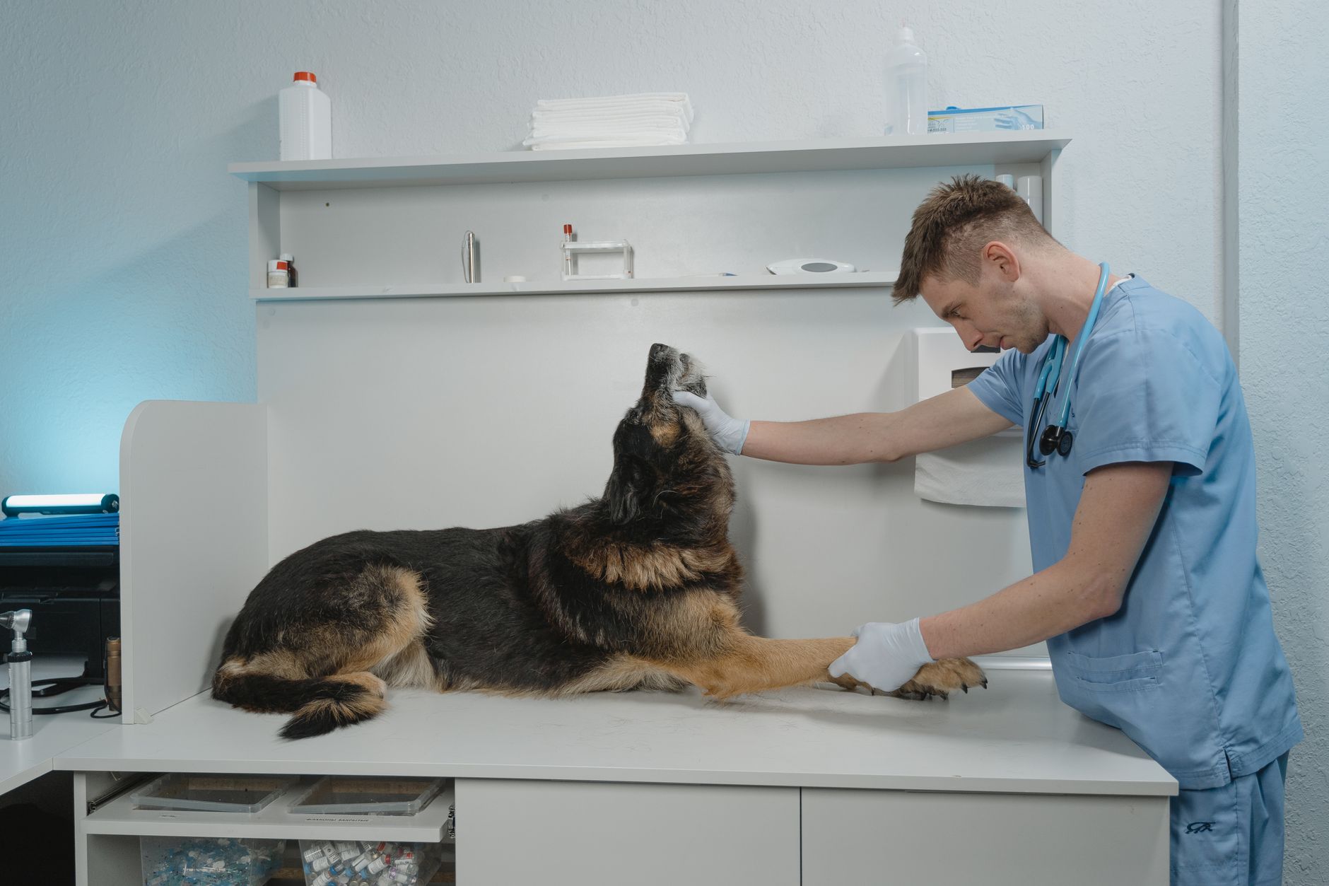 #2 — Veterinary Care Costs What It Costs