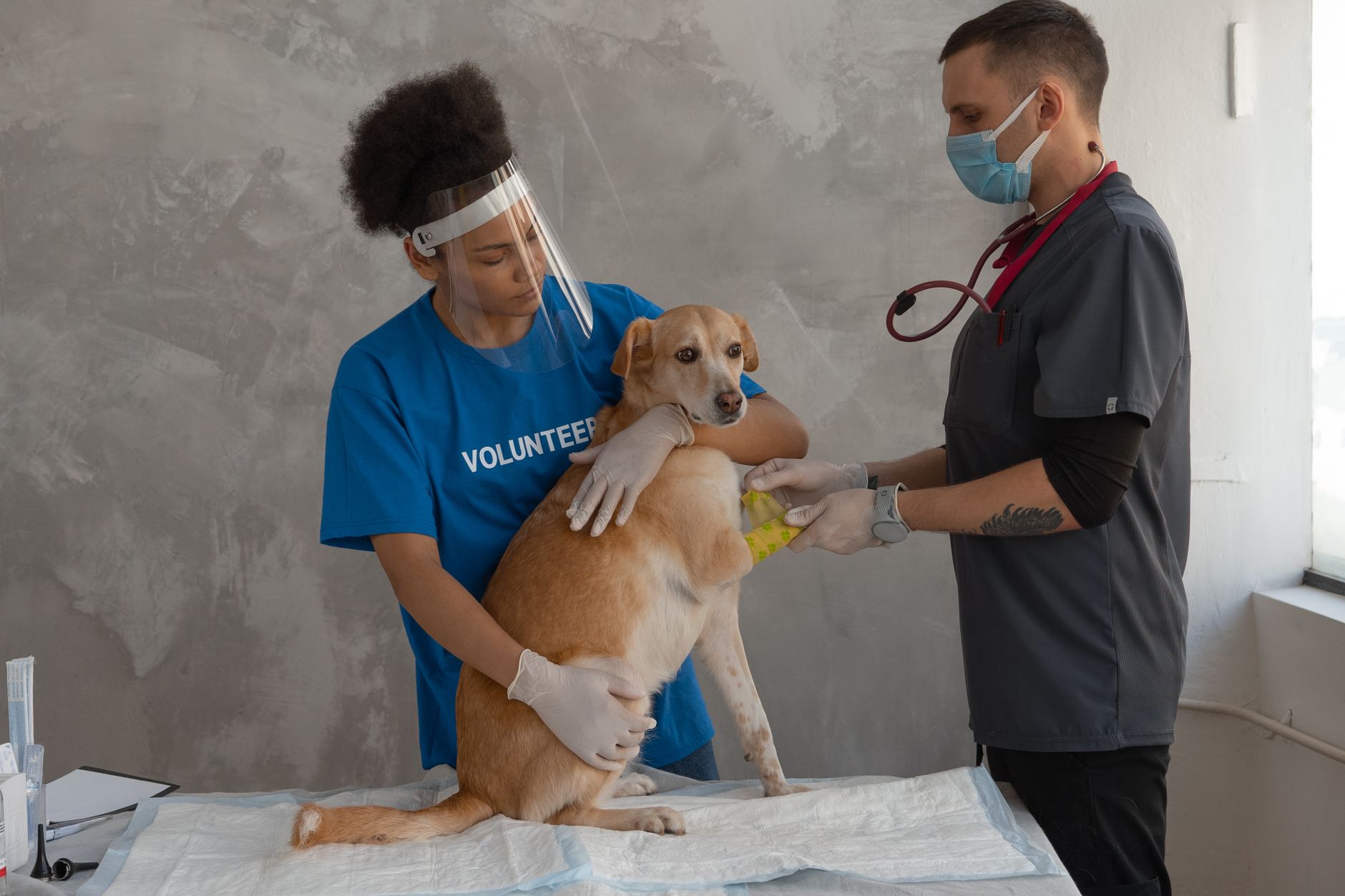 #4 — Mixing Dog and Human Medicine Is Dangerous