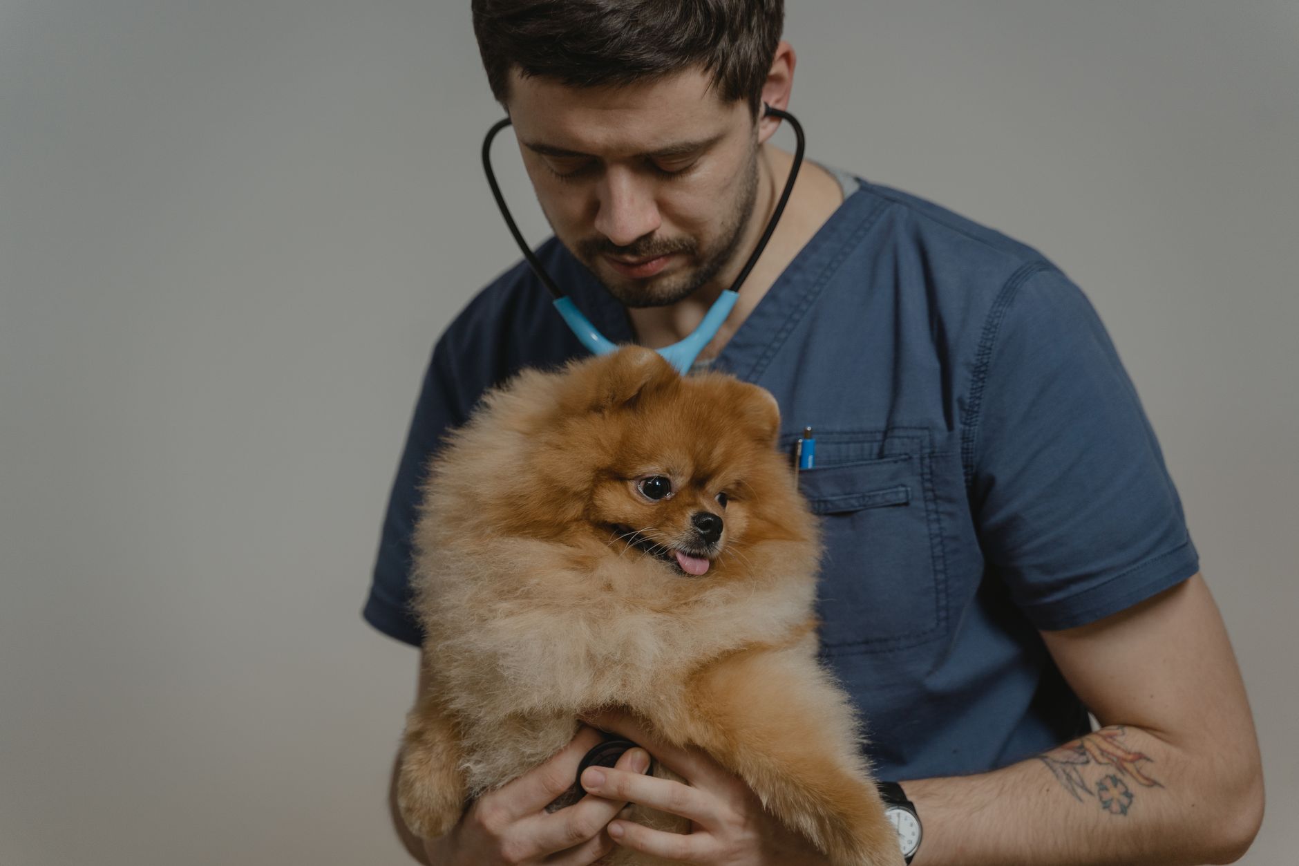 #1 — Dogs Don't "Just Know" When You're Sick