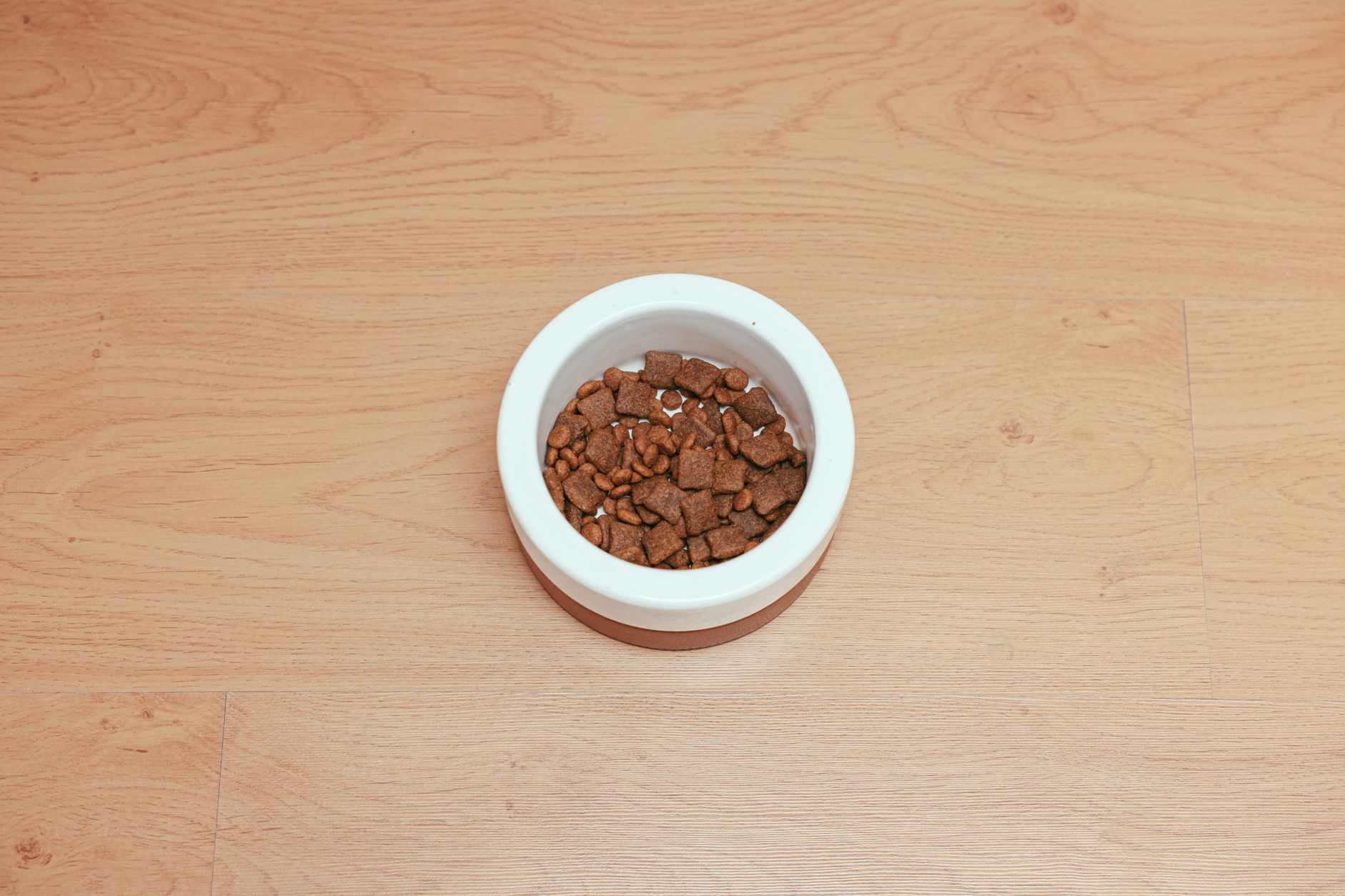 #10 — Grain-Free Diets Aren't Automatically Healthier
