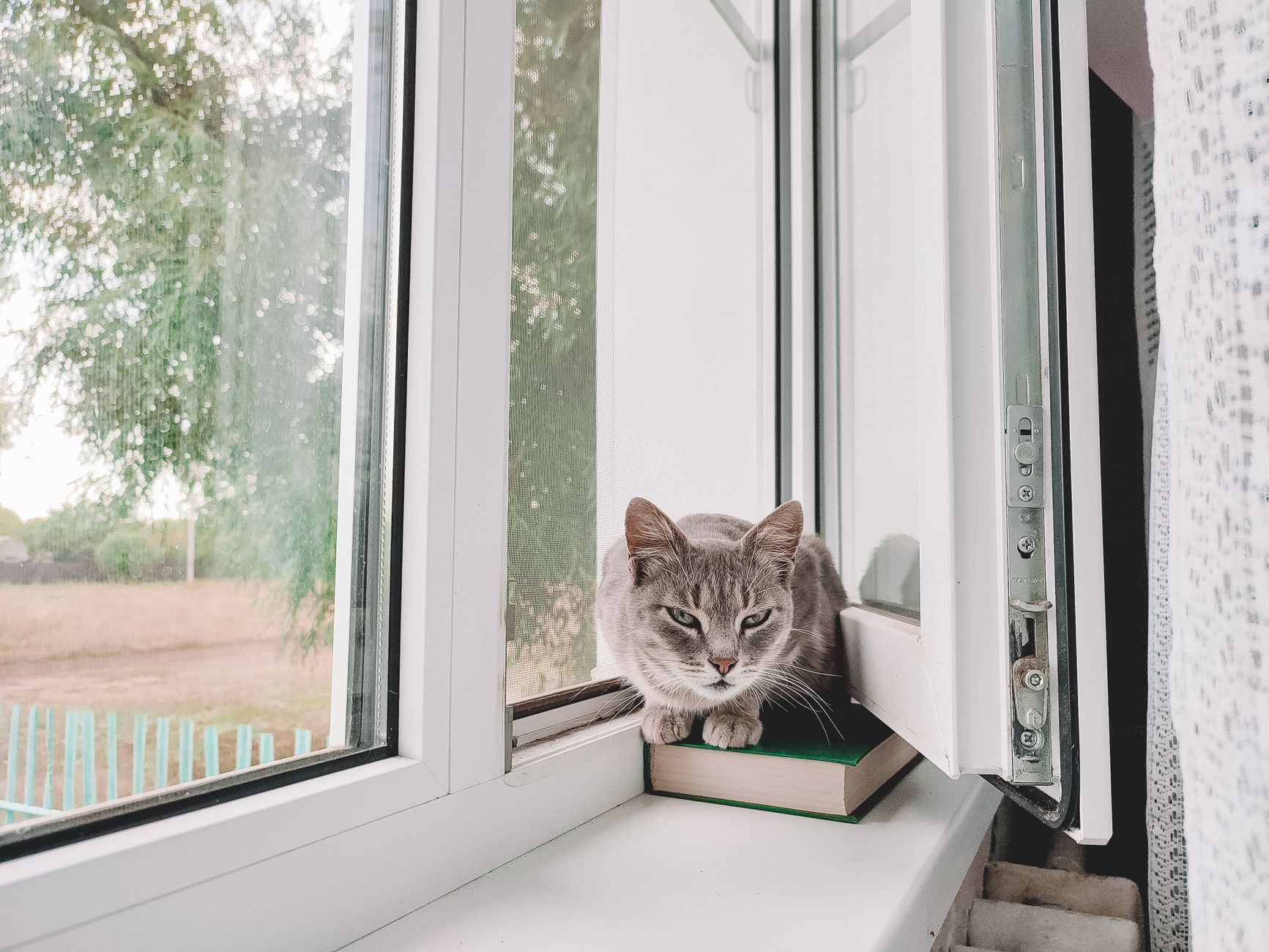 #4 — They've Learned to Distinguish Your Alarm Types