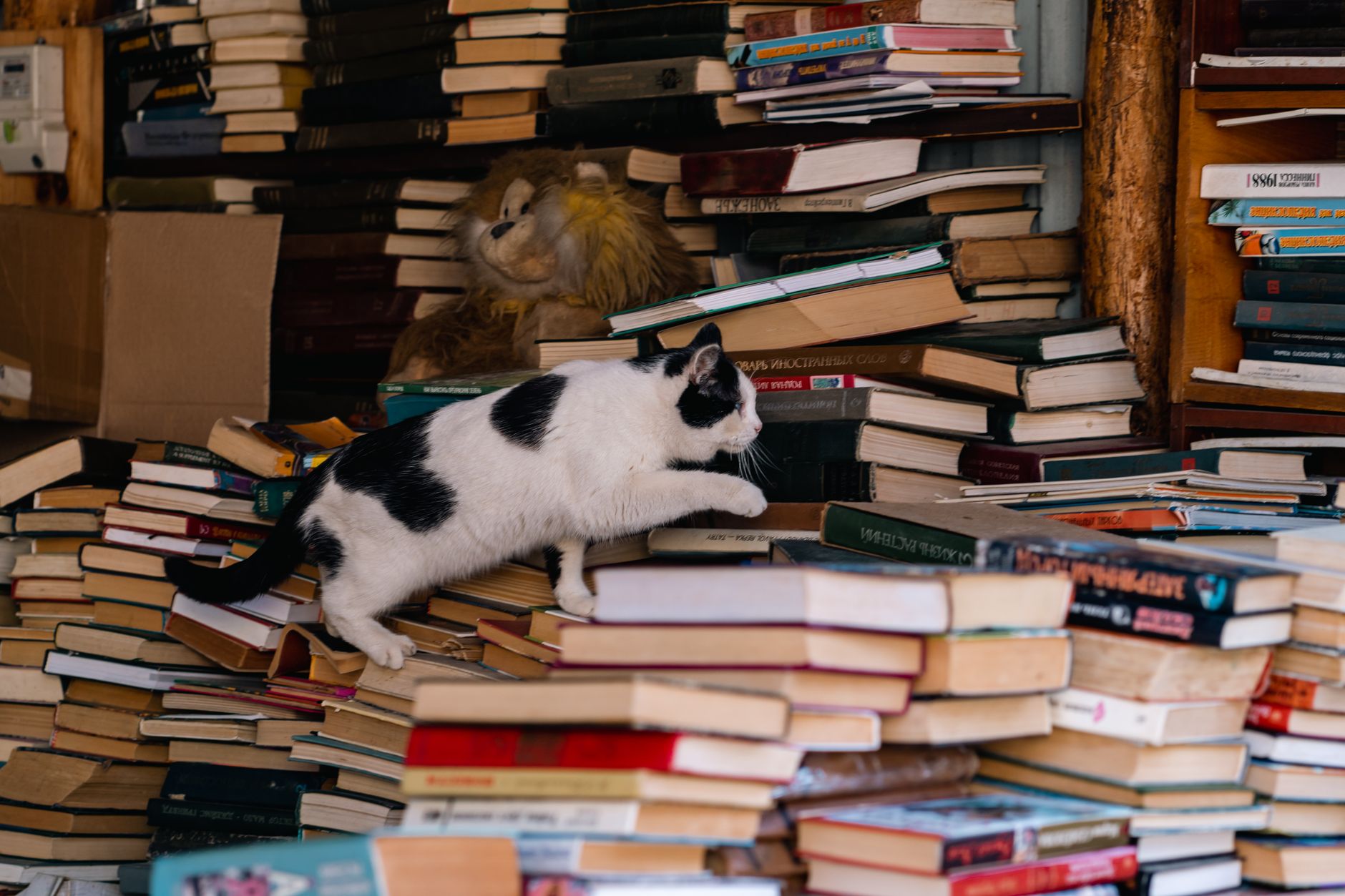 #6 — They're Reading Your Stress Levels While You Sleep